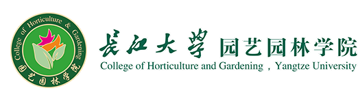 304am永利集团